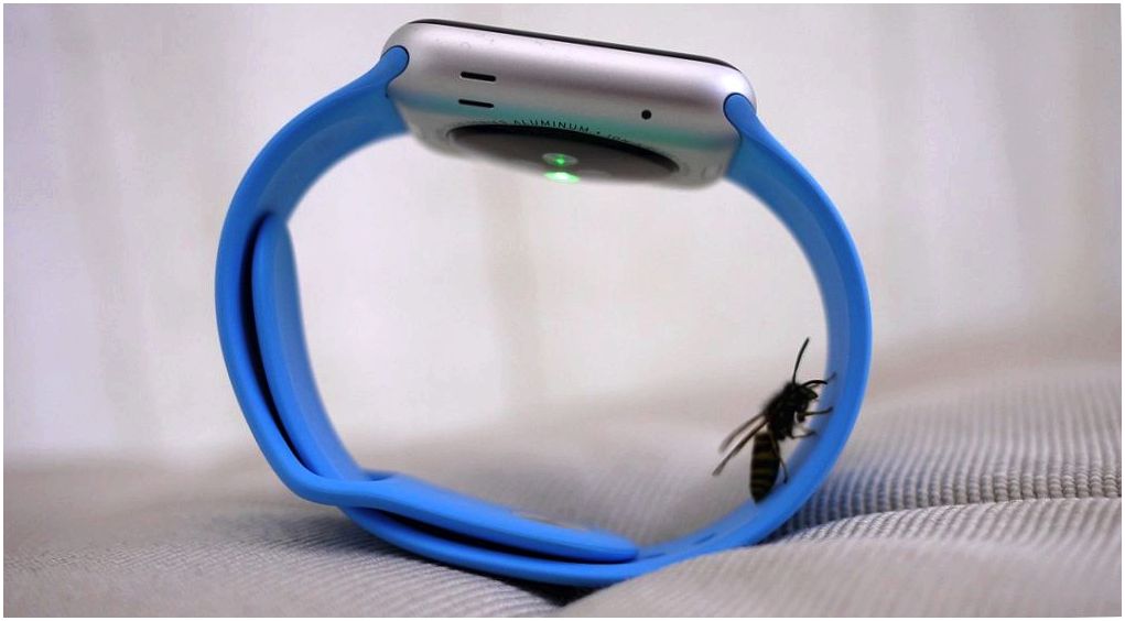 Месяц с Apple Watch: зачем часам "ум"? (месяц, apple, watch, Apple Watch, плейлист iTunes, Apple Watch красивы) Месяц с Apple Watch: зачем часам "ум"?